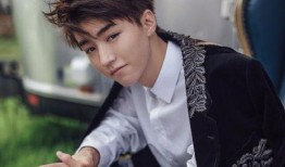 刘大锤爆料王俊凯视频,揭秘明星幕后生活瞬间