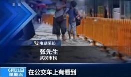 武汉防疫大爆料视频播放,揭秘疫情背后的真相与挑战