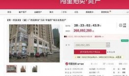 成都房产爆料新闻报道,揭秘最新楼市动态与热门项目！